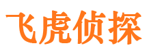 武安市侦探调查公司